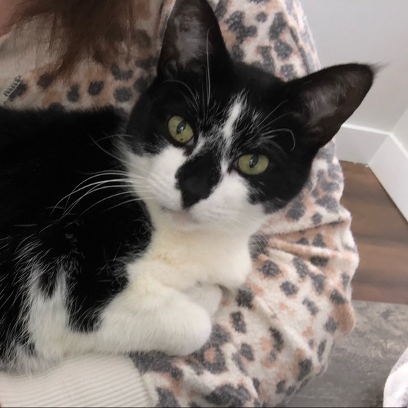 Meet your Posher, Jennie - Picture 5 of 10